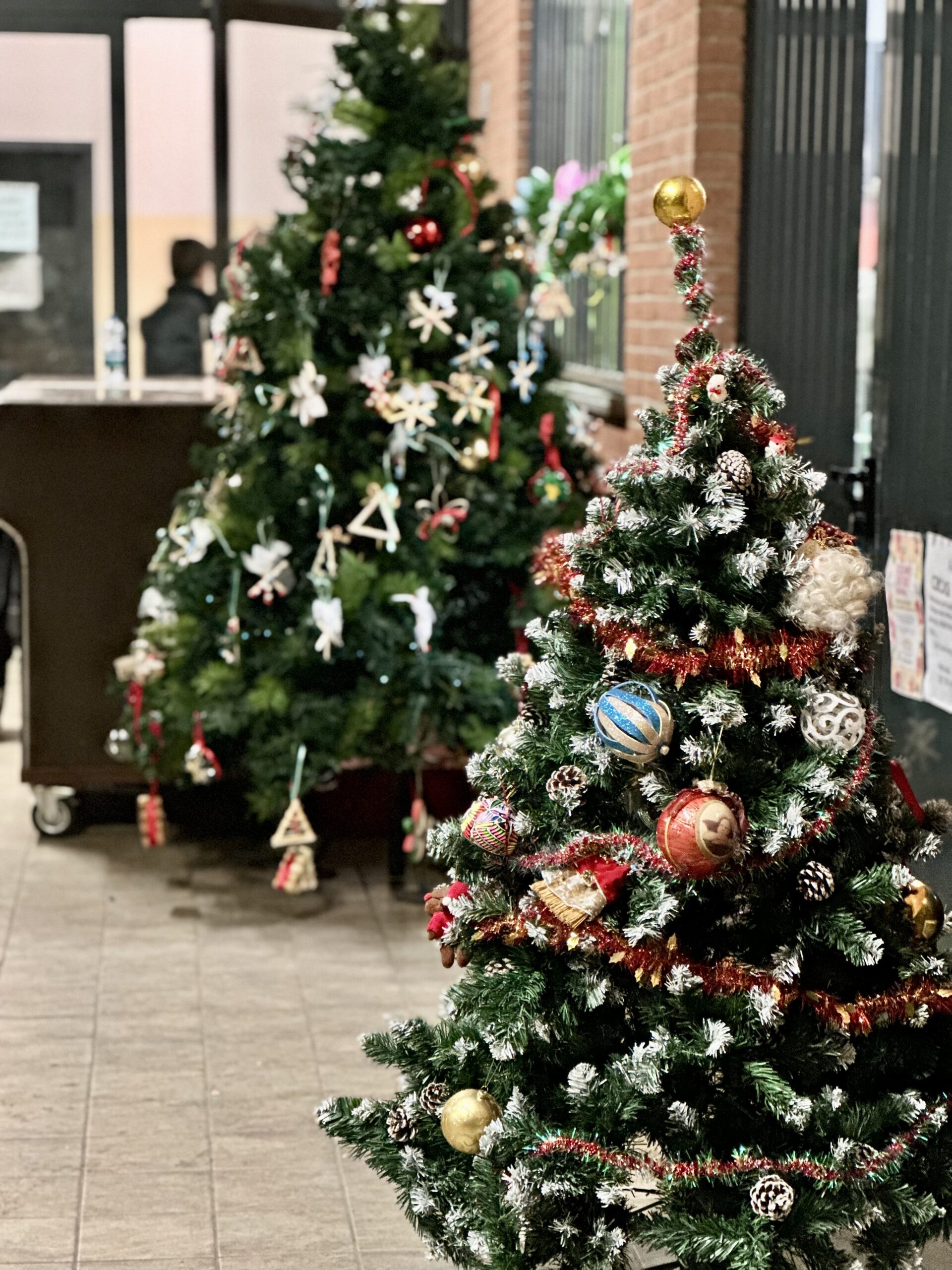 In preparazione del S. Natale